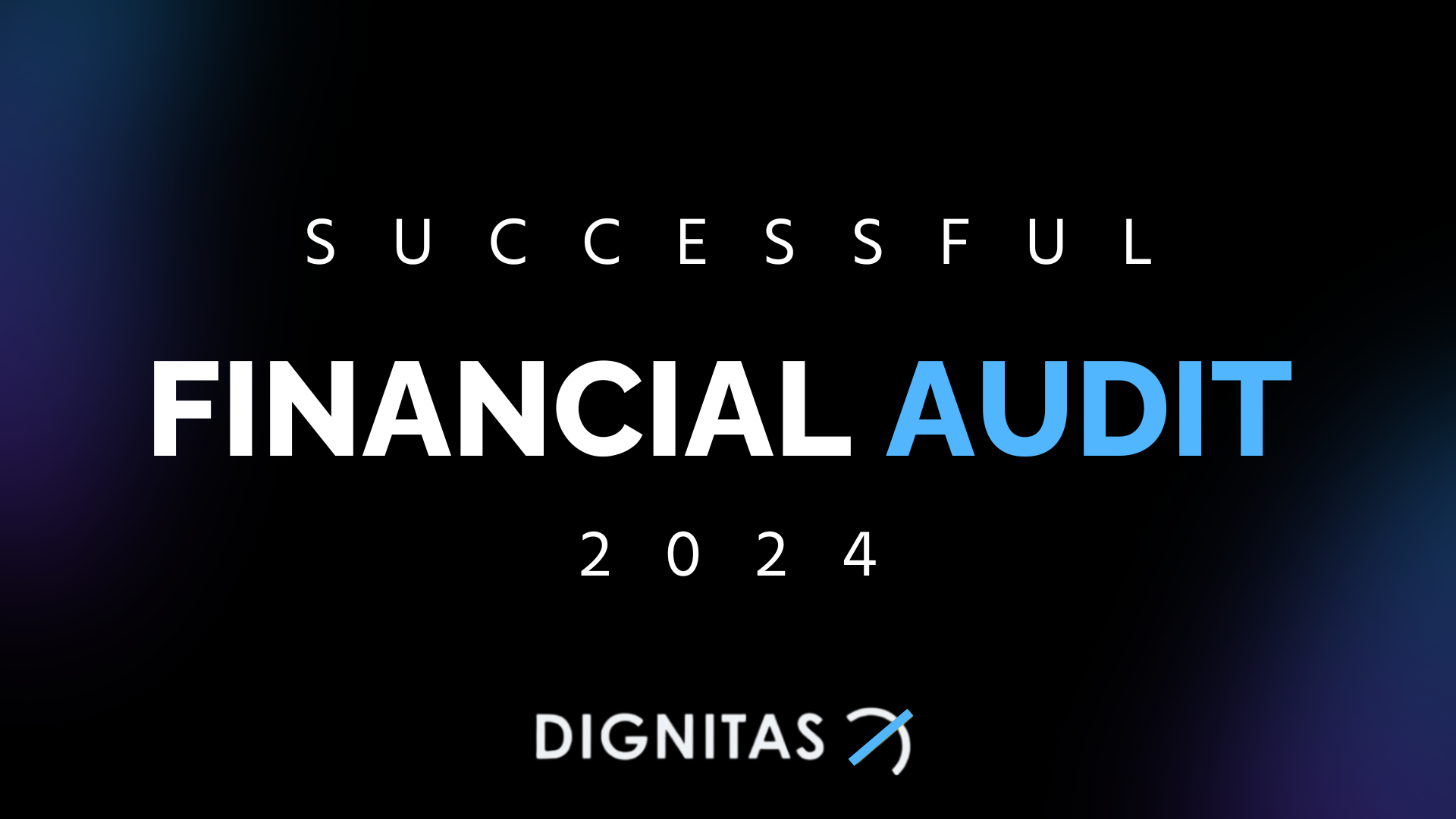 Dignitas Ukraine financial audit