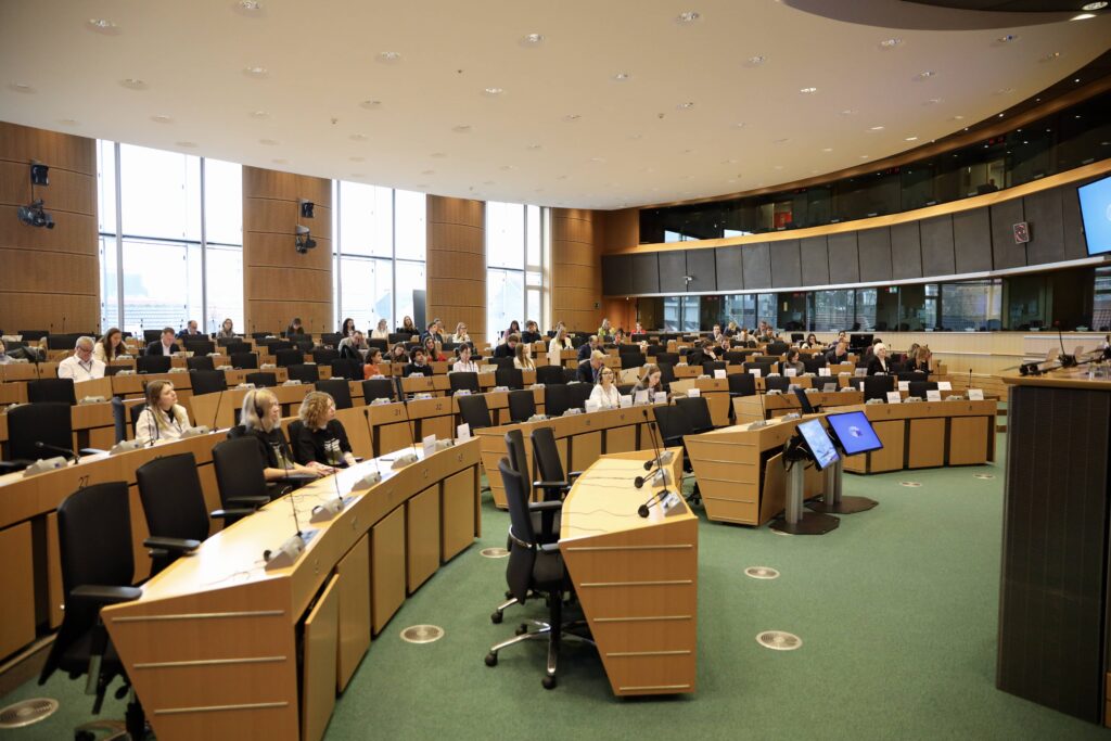 Role of Civil Society, Dignitas Ukraine